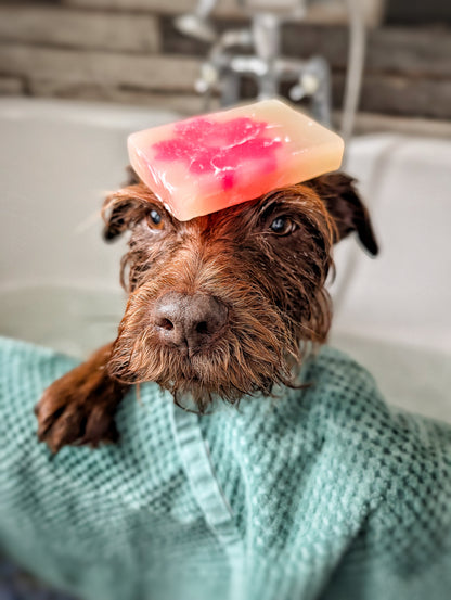 Sakura - Dirty Dog Shampoo Bar - Cherry Blossom Fragrance