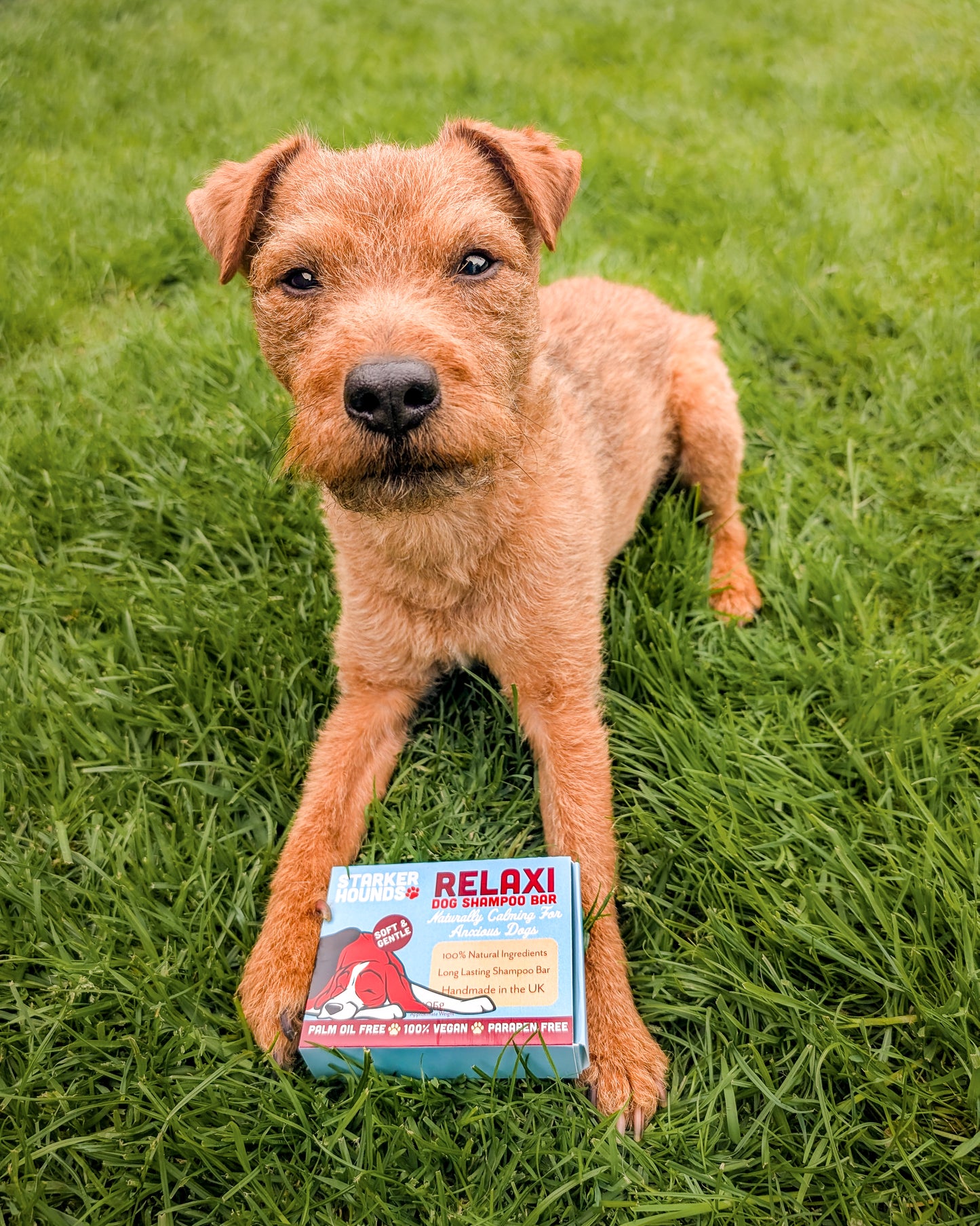 Relaxi - Calming for Anxious Dogs Dog Shampoo Bar