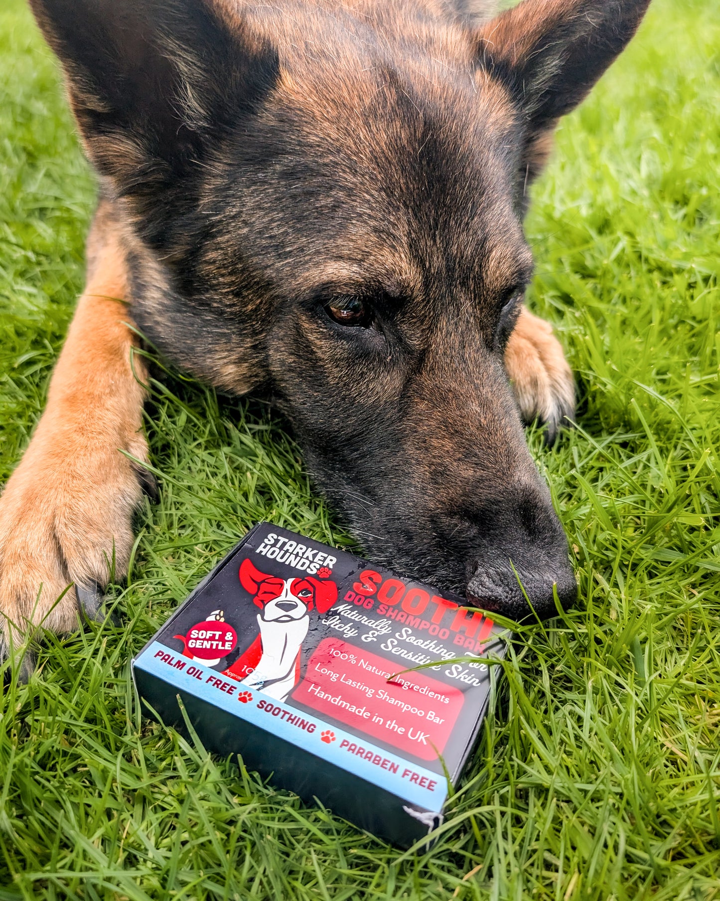 Soothi - Soothing for Itchy & Sensitive Skin Dog Shampoo Bar
