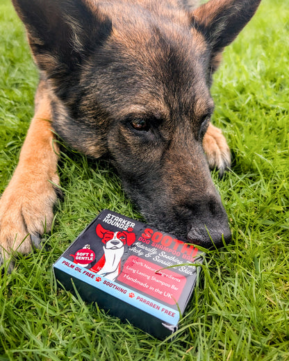 Soothi - Soothing for Itchy & Sensitive Skin Dog Shampoo Bar