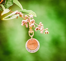 Dog Of Mischief ID Tag